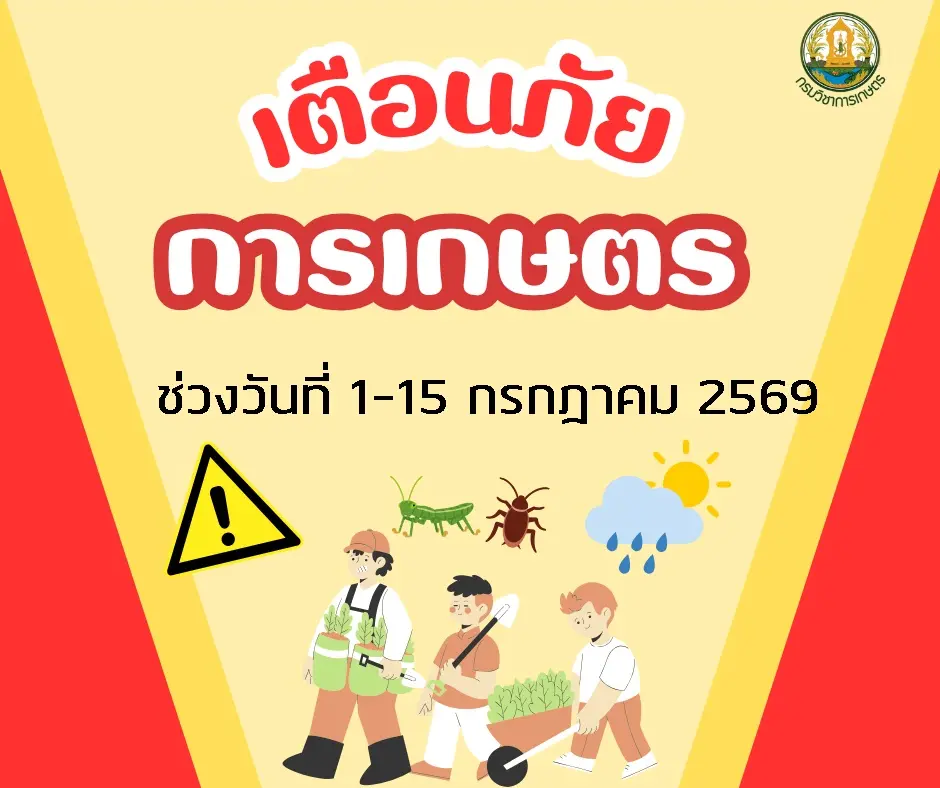 เตือนภัยการเกษตร ช่วงวันที่ 1-15 กรกฎาคม 2569