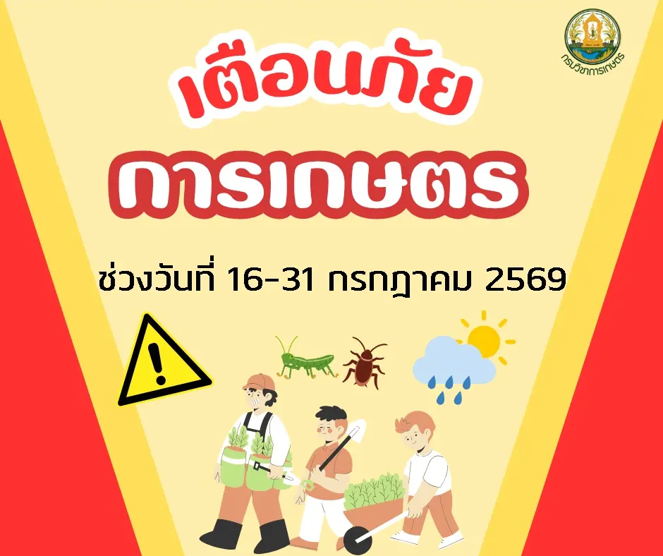 เตือนภัยการเกษตร ช่วงวันที่ 16-31 กรกฎาคม 2569