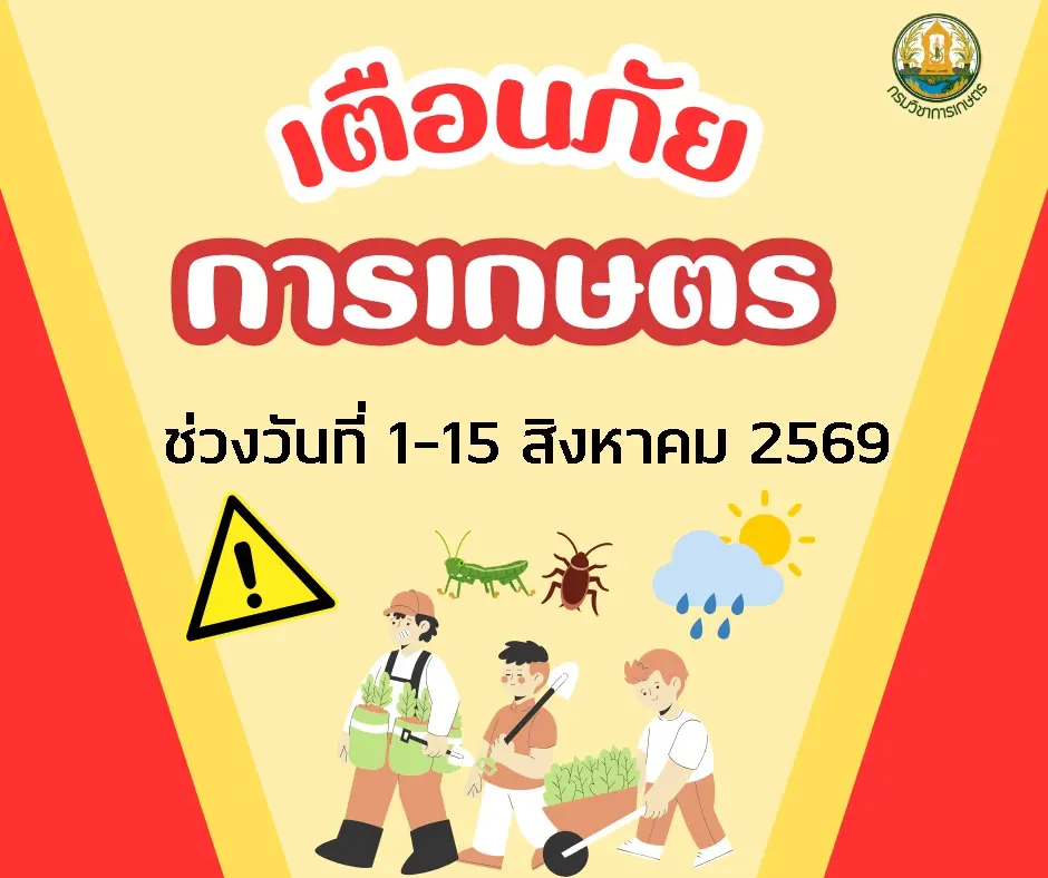 เตือนภัยการเกษตร ช่วงวันที่ 1-15 สิงหาคม 2569