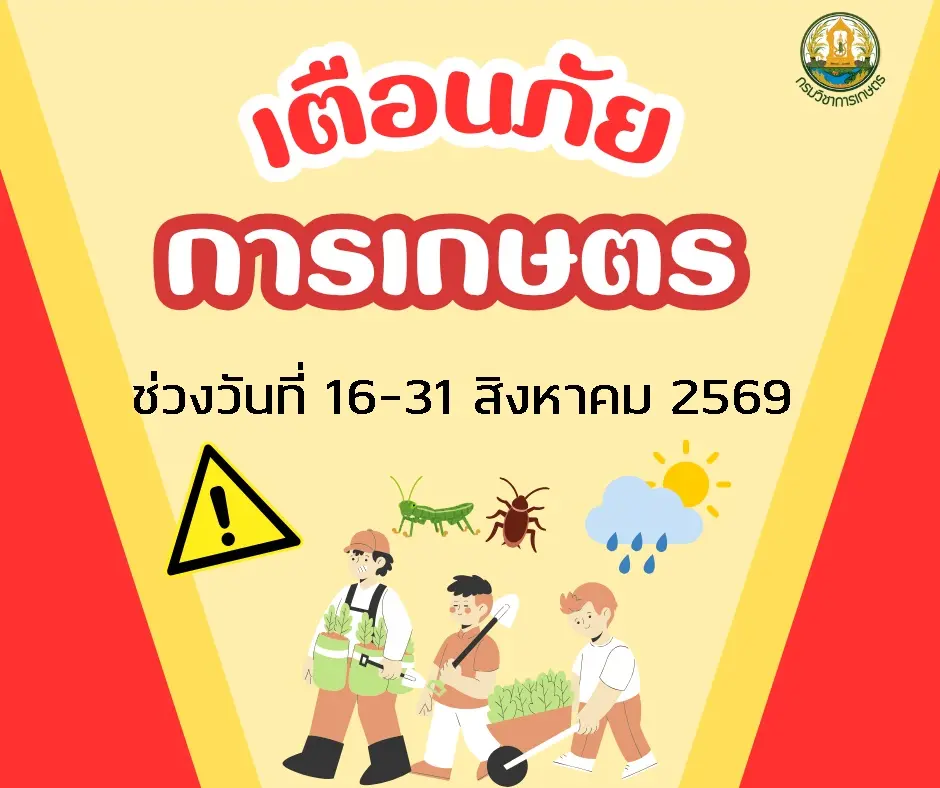 เตือนภัยการเกษตร ช่วงวันที่ 16-31 สิงหาคม 2569