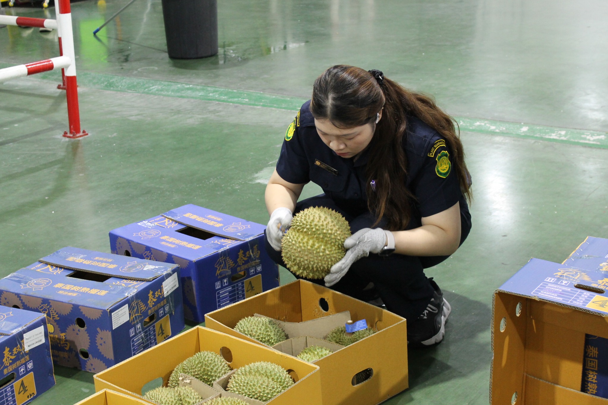 654659946_1361914412630546_7870437852132312621_n