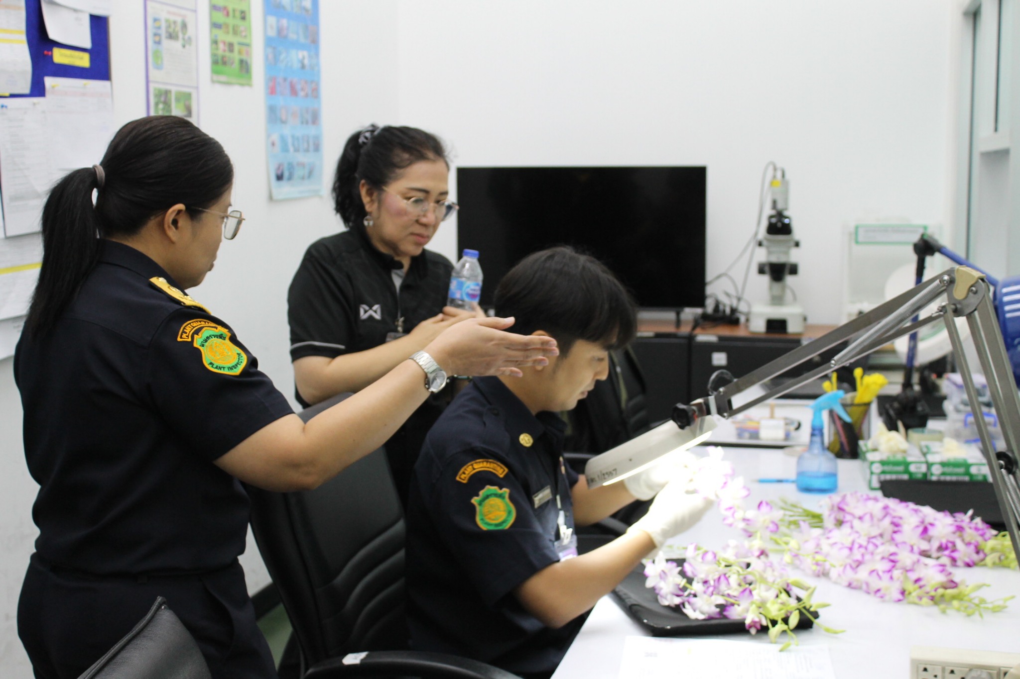 654886065_1361913539297300_5325726707584596502_n