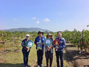 ตรวจประเมิน GAP อ.แม่ทา จ.ลำพูน