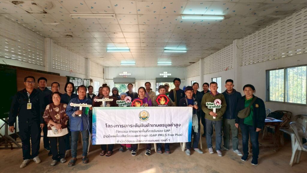 ตรวจรับรองการปฏิบัติทางการเกษตรที่ดีปลอดการเผาสำหรับข้าวโพดเมล็ดแห้ง