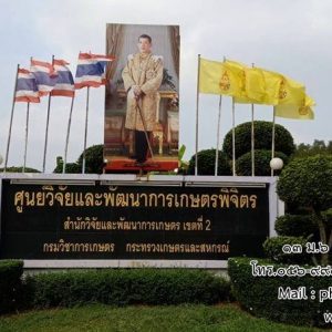 พิจิตร