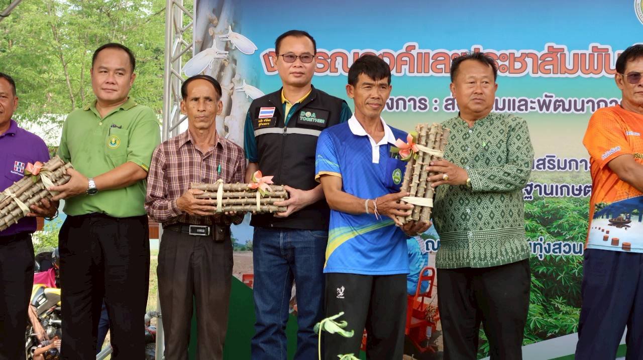 สวพ.2 เข้าร่วมกิจกรรมรณรงค์การป้องกันโรคใบด่างมันสำปะหลัง จังหวัดกำแพงเพชร
