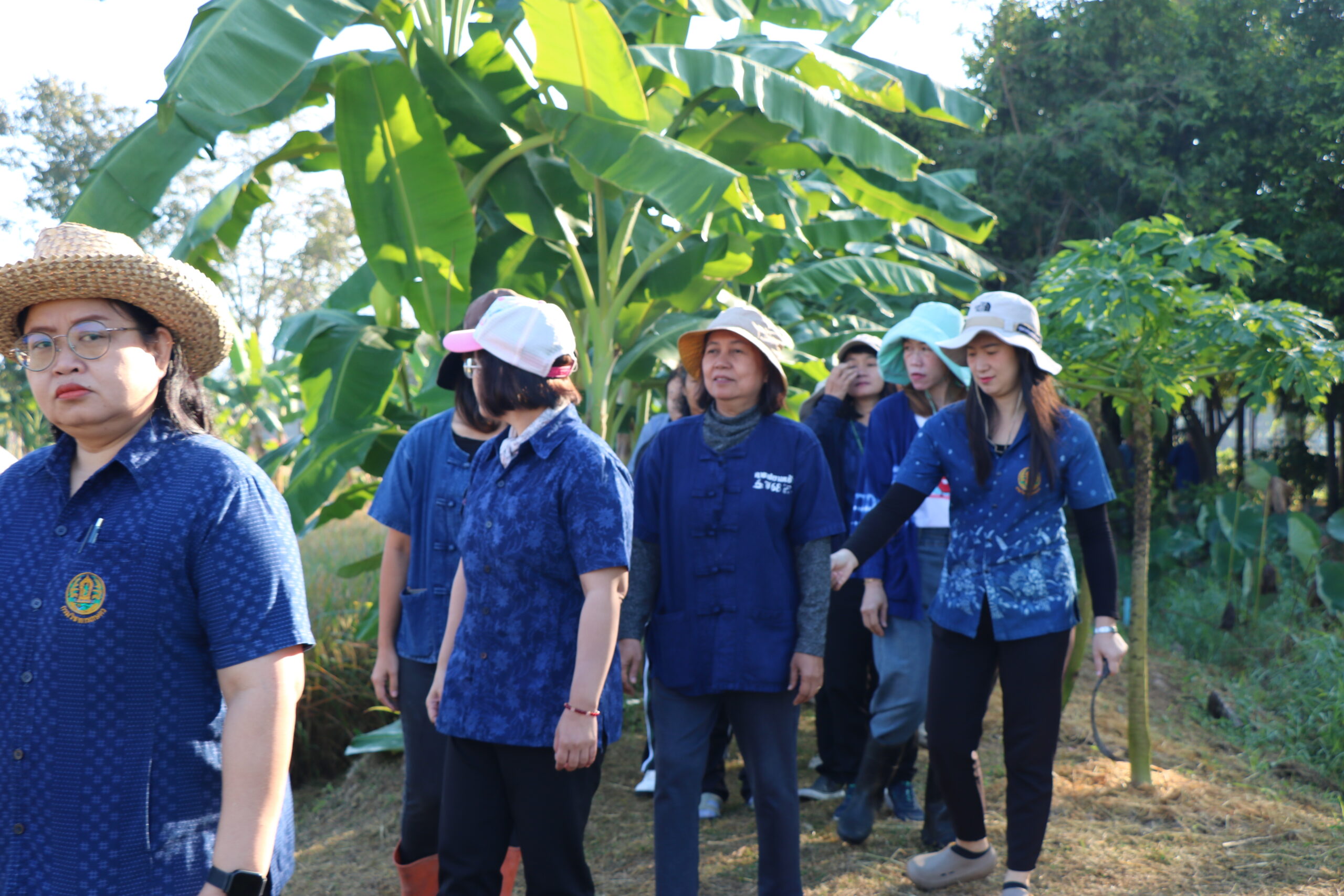 รูปภาพ 20