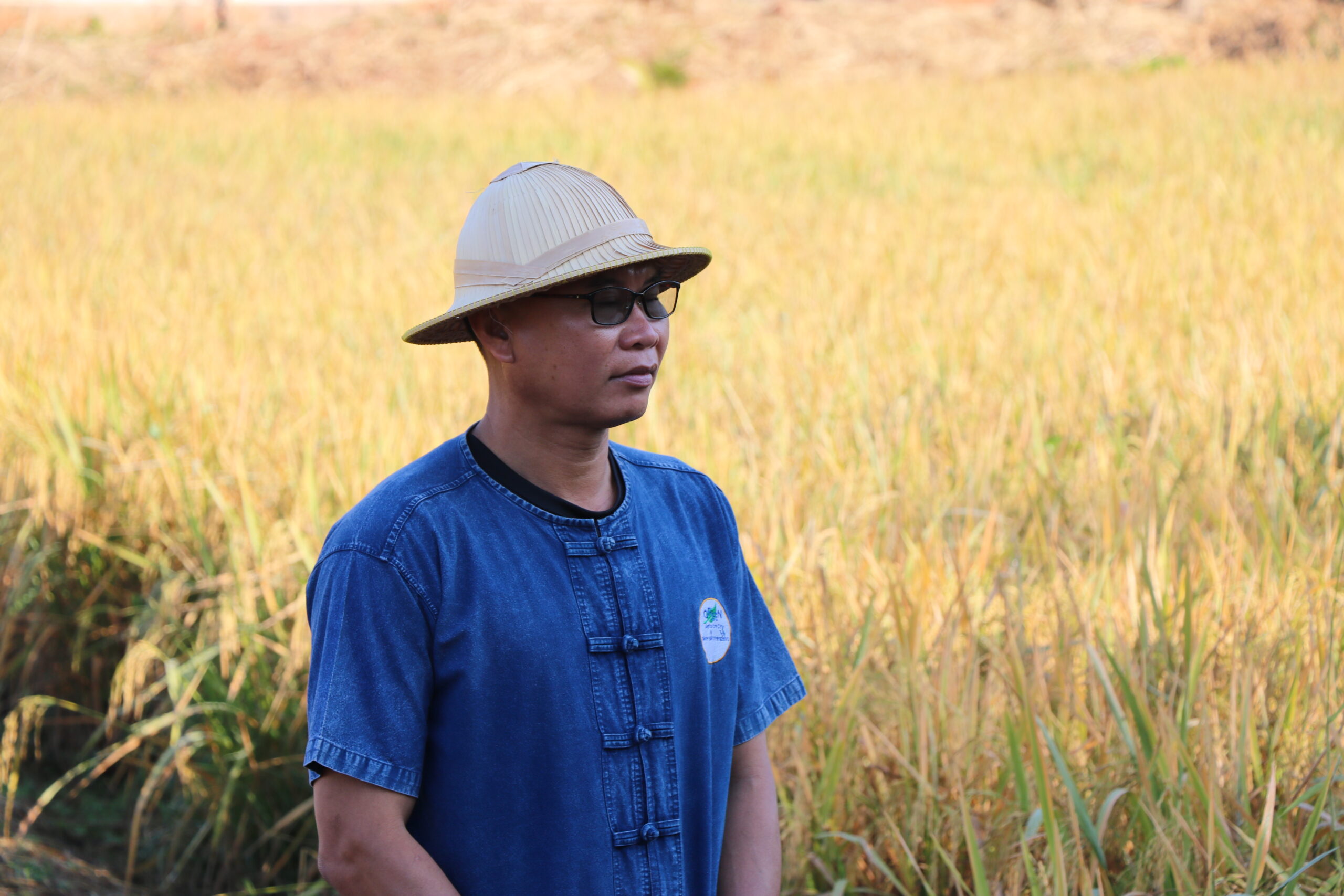 รูปภาพ 3