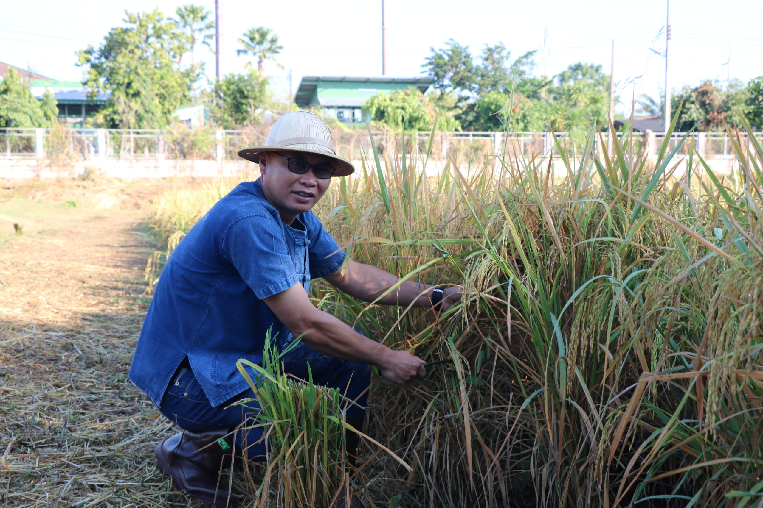 รูปภาพ 5