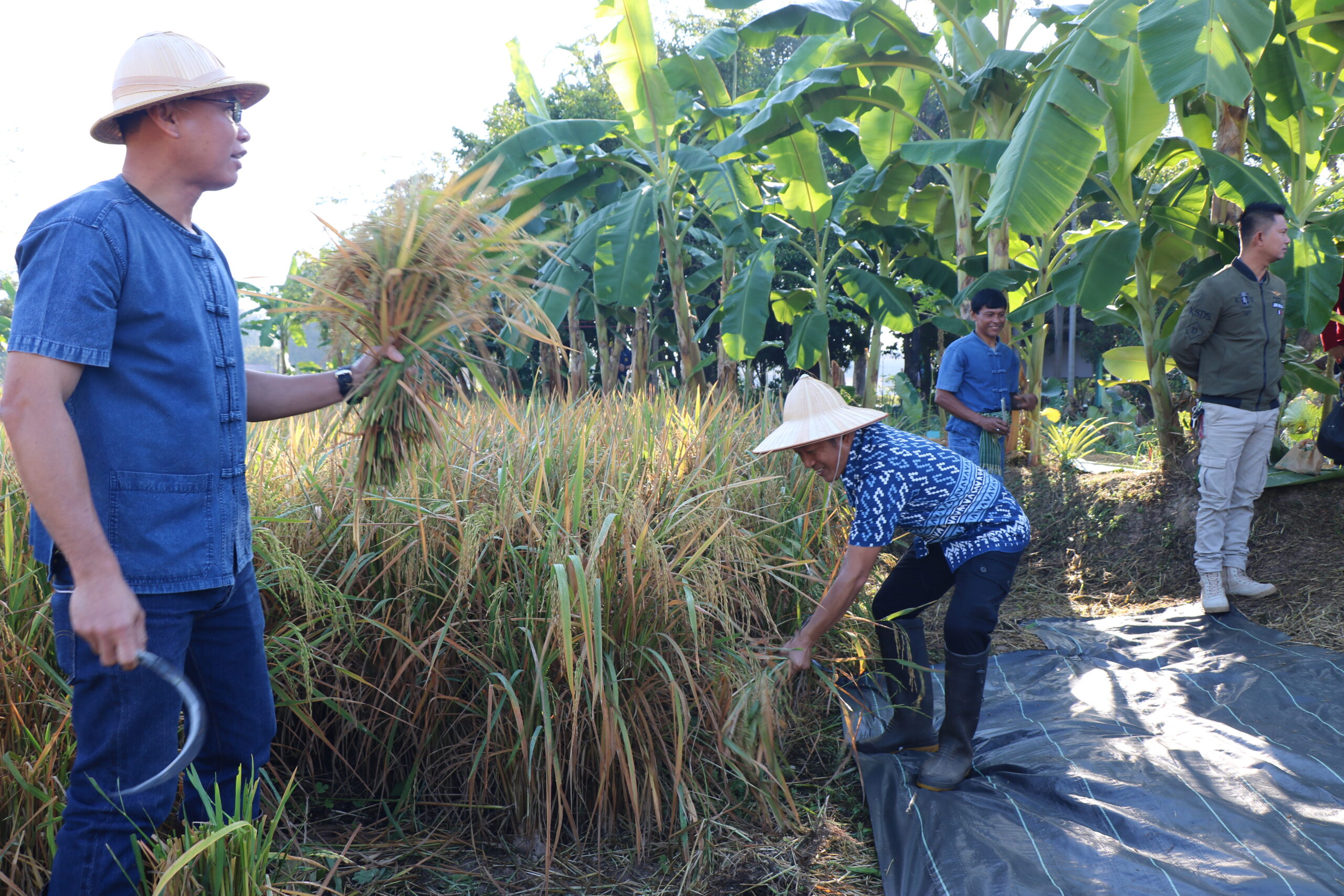 รูปภาพ 7