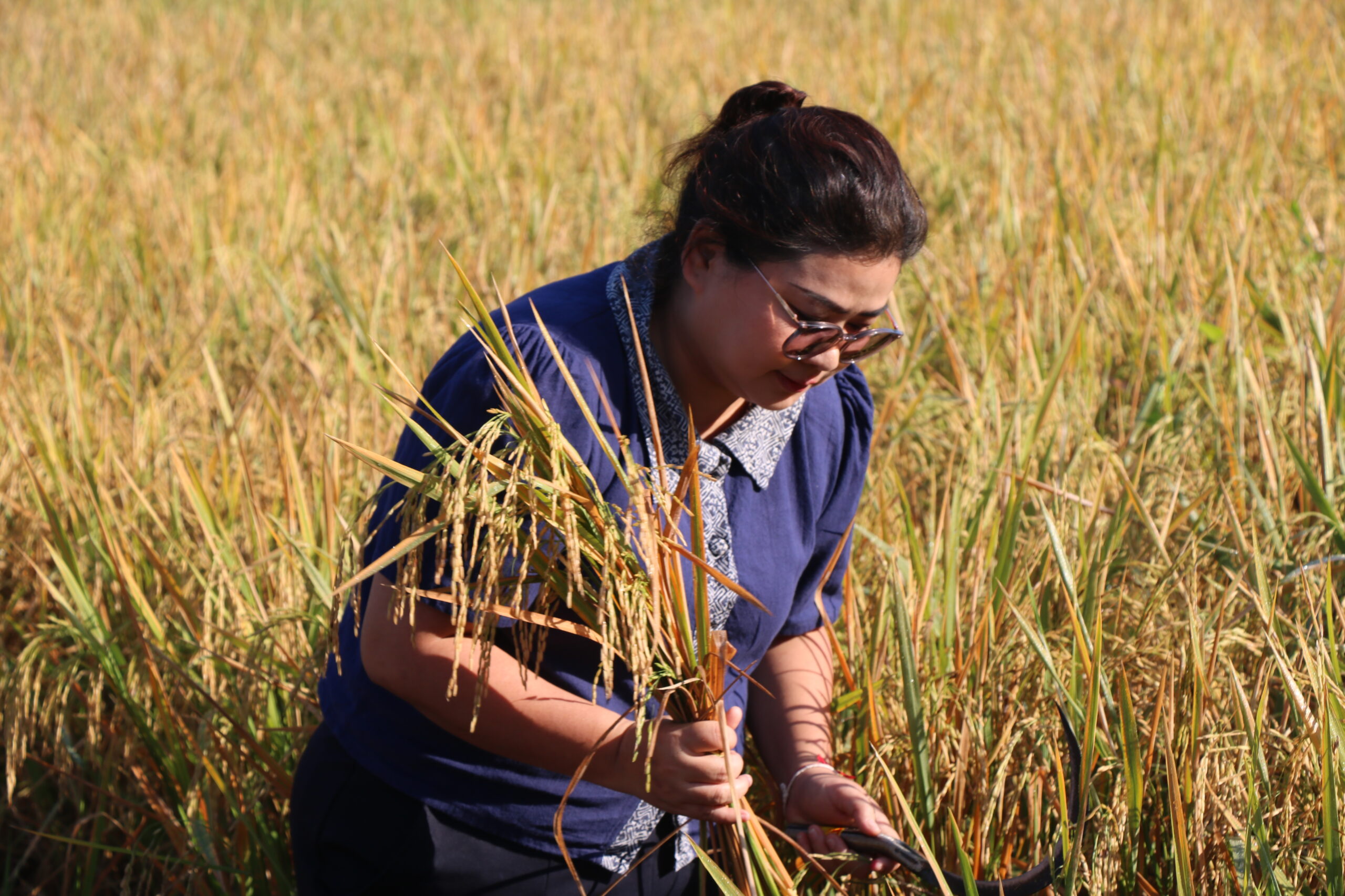 รูปภาพ 9