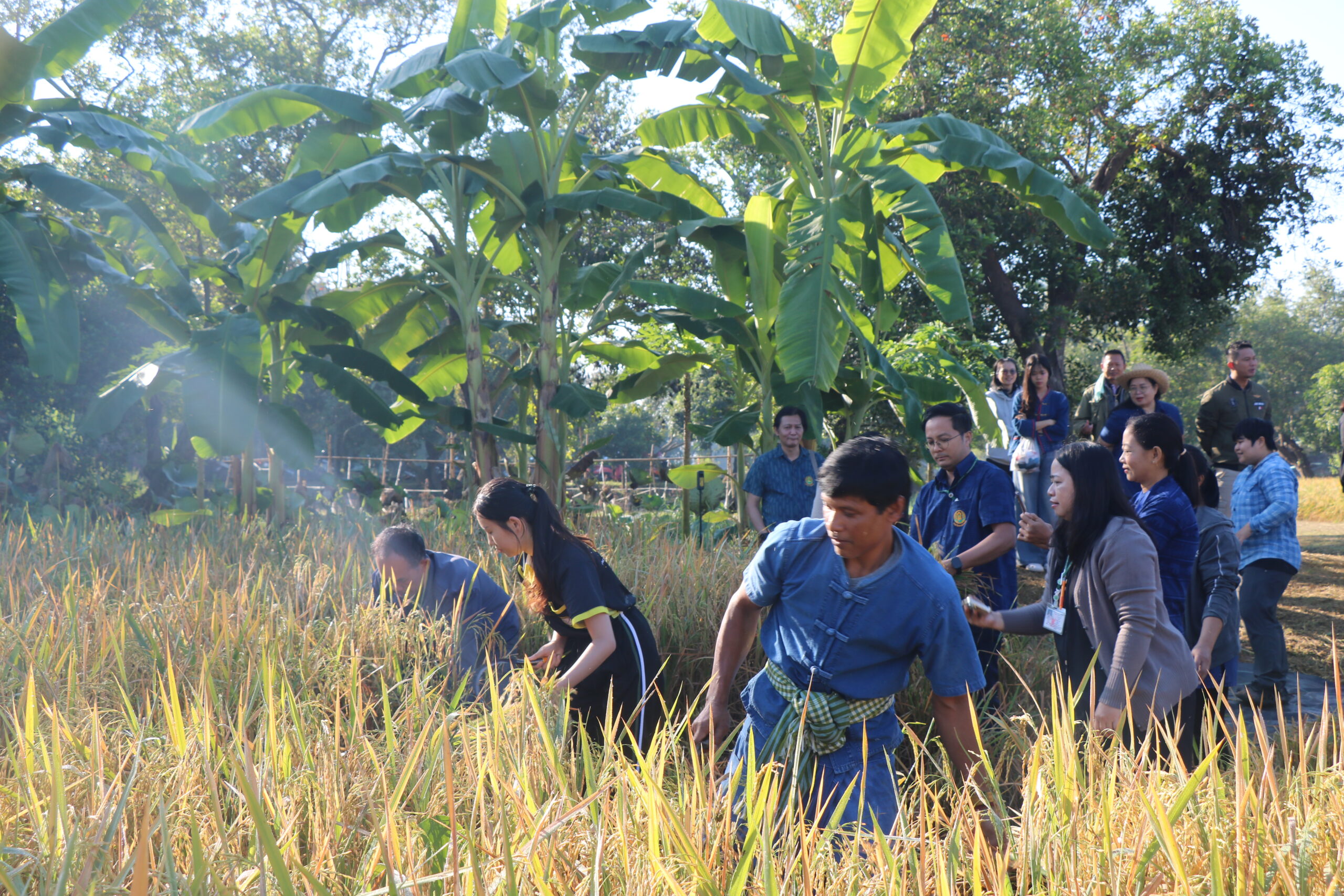 รูปภาพ 10