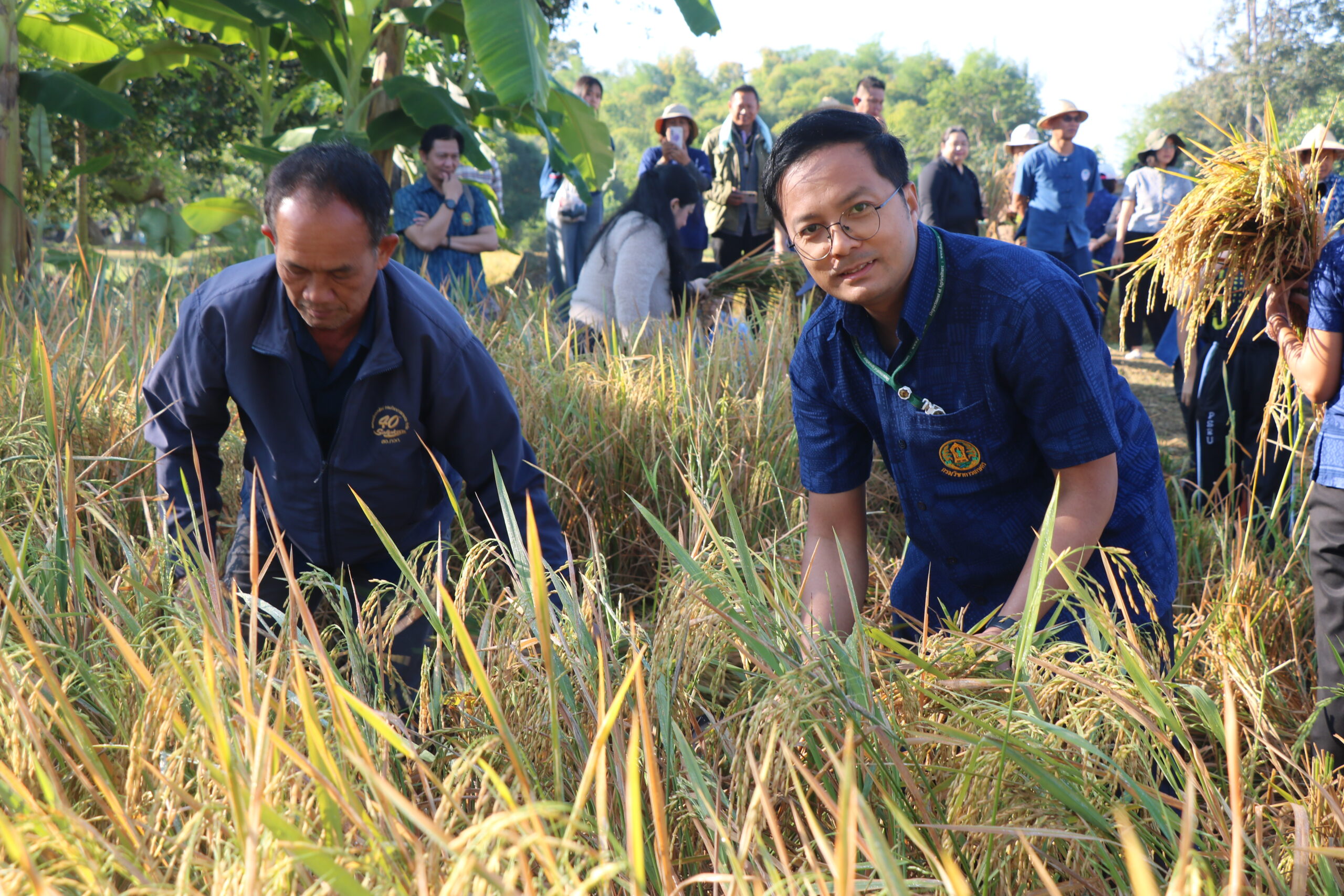 รูปภาพ 12