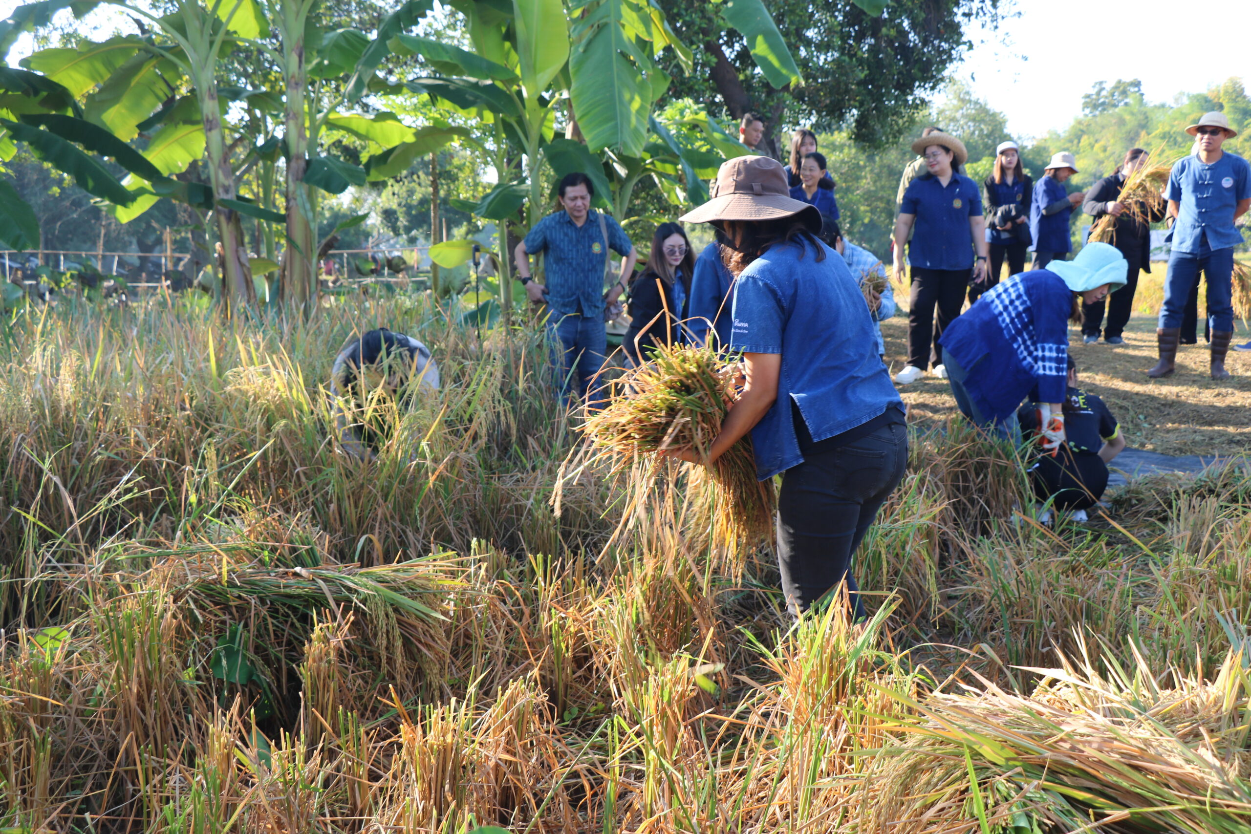 รูปภาพ 13