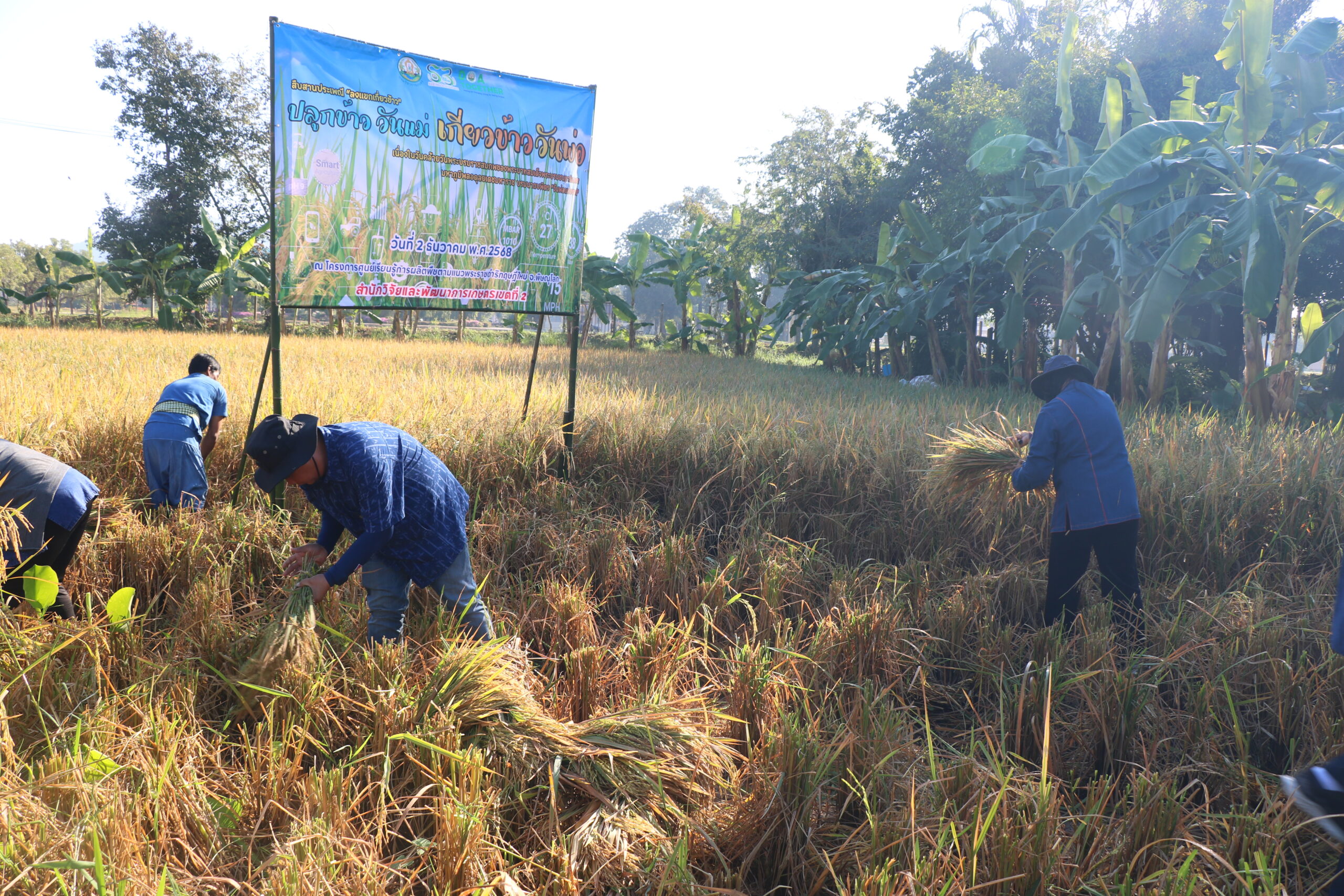 รูปภาพ 15