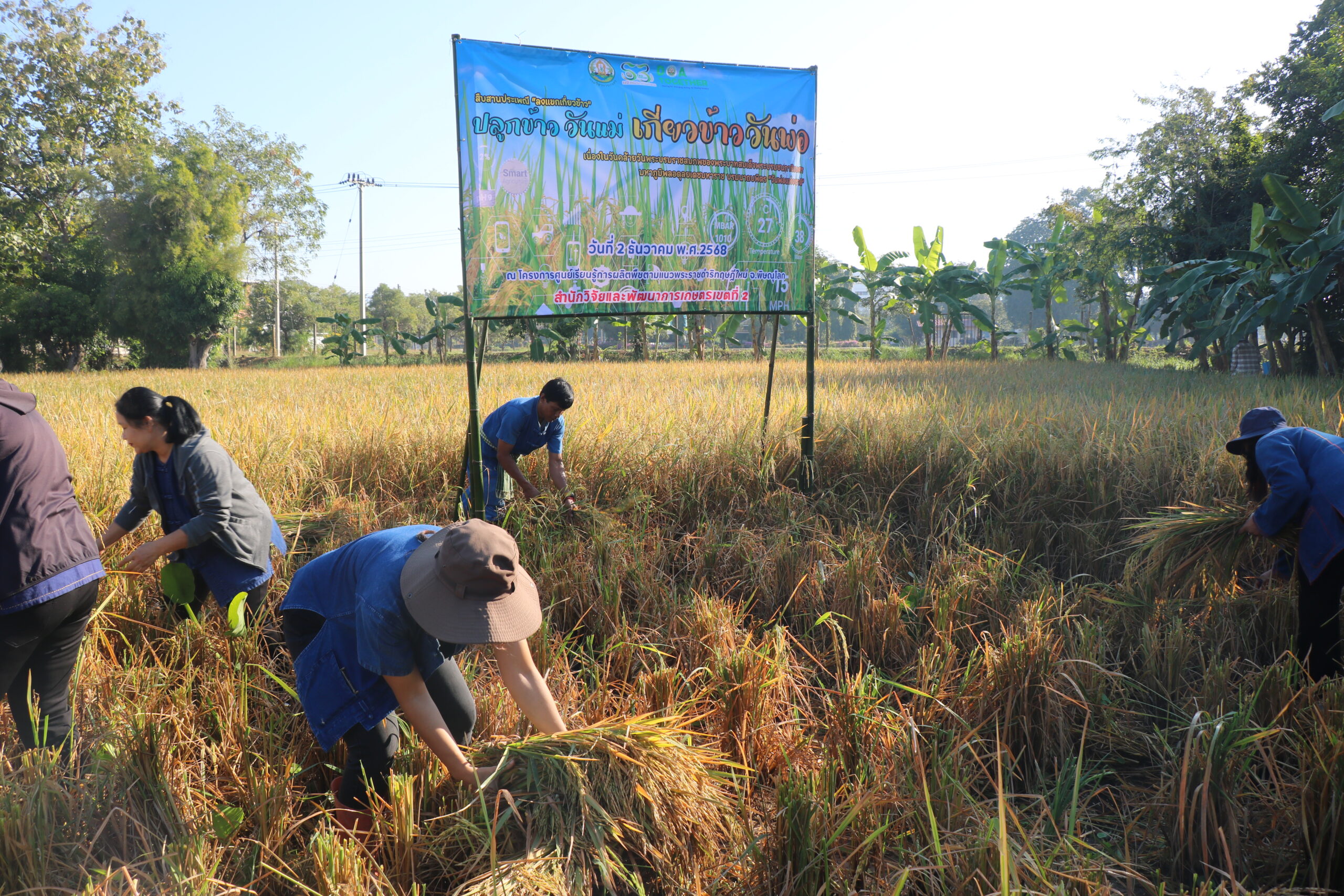 รูปภาพ 17