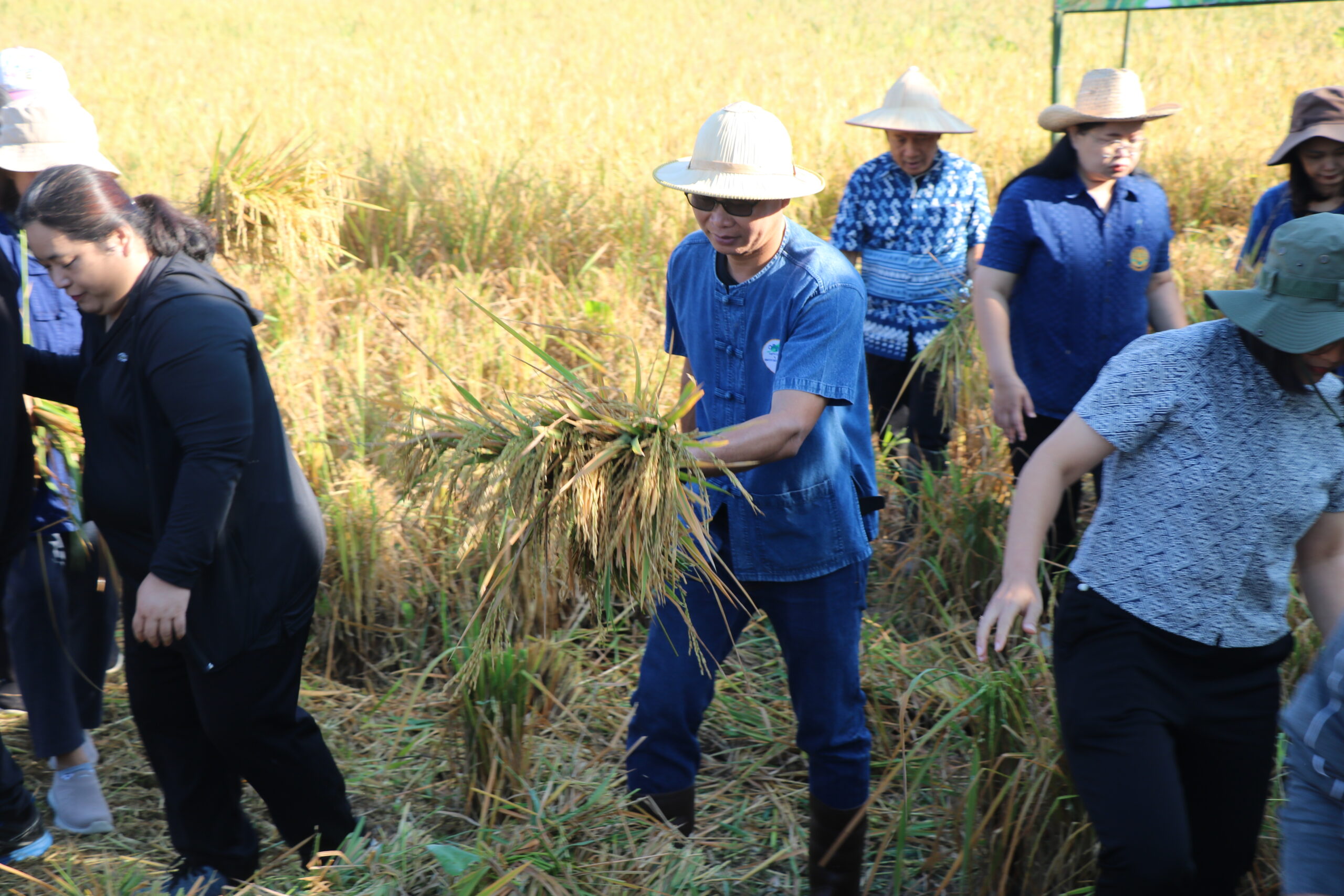 รูปภาพ 14