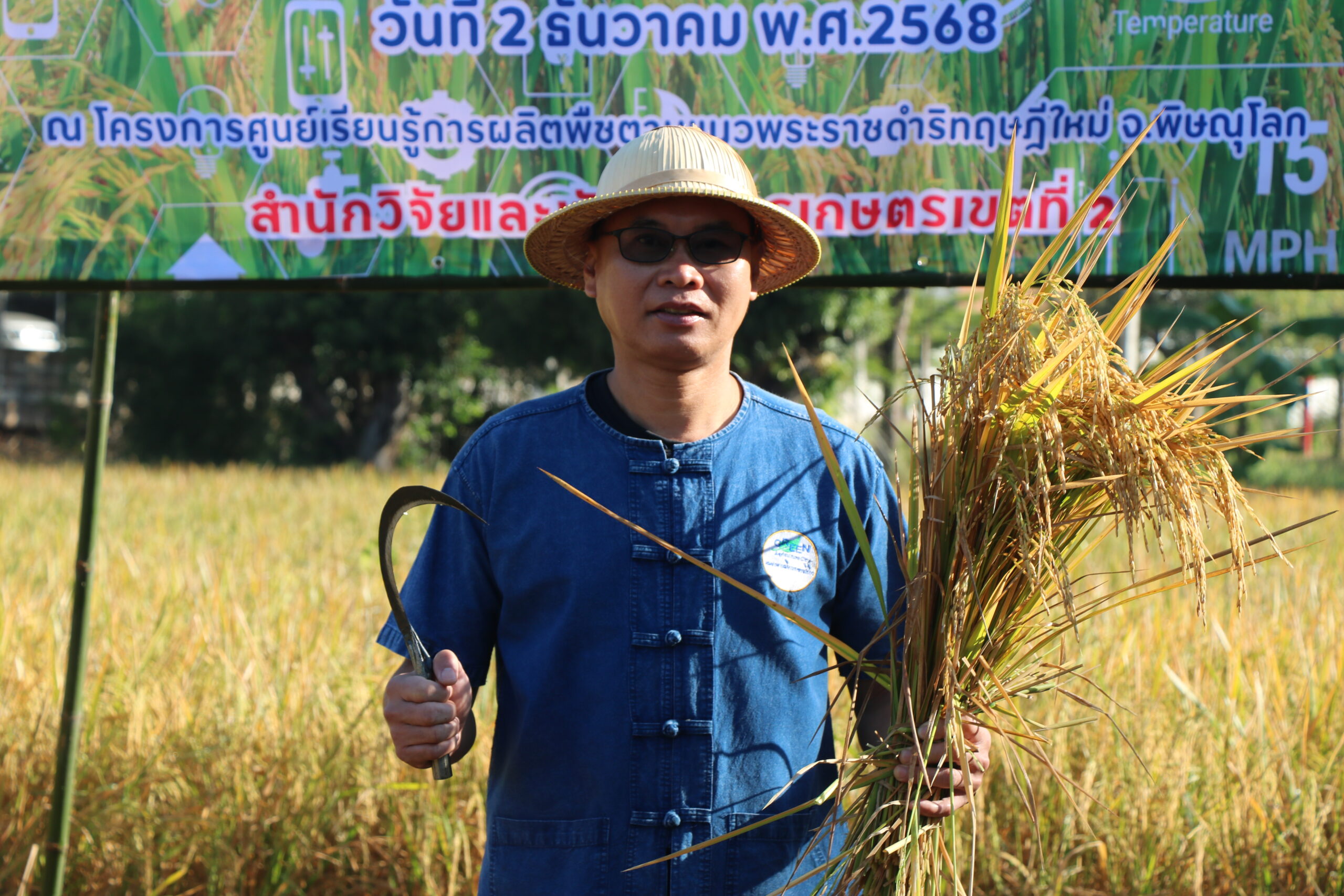 สวพ.2 พิษณุโลก จัดกิจกรรม “เกี่ยวข้าววันพ่อ” ประจำปี 2567 สืบสานประเพณีลงแขกตามแนวพระราชดำริ