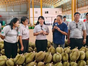 ตรวจเยี่ยม โรงรวบรวมผลไม้ (ล้ง) “มูลิน”