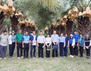 ร่วมต้อนรับคณะผู้ตรวจประเมินแปลงและโรงคัดบรรจุ อินทผลัม จากเจ้าหน้าที่สำนักงานศุลกากรแห่งสาธารณรัฐประชาชนจีน (GACC)
