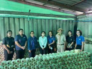 ติดตามการผลิตเห็ดภูฏานลูกผสมพันธุ์ กวก. สทช.1 เกษตรกรผู้ประสบภัยพิบัติ ปี 2567/2568