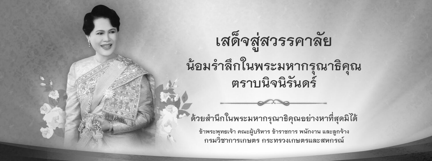 สำนักวิจัยและพัฒนาการเกษตร เขตที่ 7