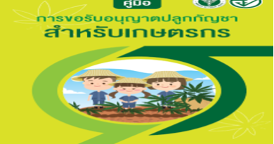 คู่มือการขออนุญาตปลูกกัญชาสำหรับเกษตรกร