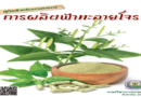 คู่มือสำหรับเกษตรกร การผลิตฟ้าทะลายโจร