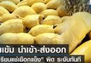 อธิบดีกรมวิชาการเกษตร สั่งคุมเข้ม นำเข้า-ส่งออก ‘ทุเรียนแช่เยือกแข็ง’ พบผิด ระงับใบรับรองทันที หวั่น สวมสิทธิทุเรียนไทย