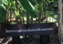 กปร. กับงานโครงการอันเนื่องมาจากพระราชดำริ ตอบรับ “ชีวิตวิถีใหม่กับงานวิจัยนวัตกรรม” : <strong>โครงการพิเศษ ระดับดี (ศวพ.นราธิวาส สวพ.8)</strong><br>โครงการอนุรักษ์พันธุกรรมกล้วยโบราณตามพระราชดำริ จังหวัดนราธิวาส<br>ภายใต้โครงการศูนย์ศึกษาการพัฒนาพิกุลทองอันเนื่องมาจากพระราชดำริ จังหวัดนราธิวาส