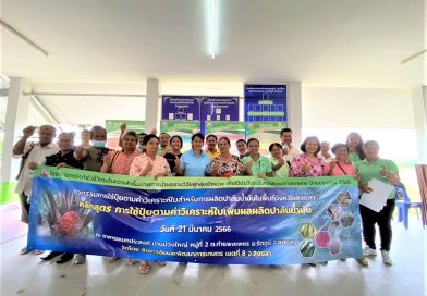 กลุ่มวิชาการ สวพ. 8 จัดอบรมเกษตรกรหลักสูตร “การใช้ปุ๋ยตามค่าวิเคราะห์ใบเพิ่มผลผลิตปาล์มน้ำมัน”