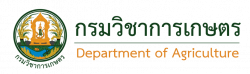 กองแผนงานและวิชาการ