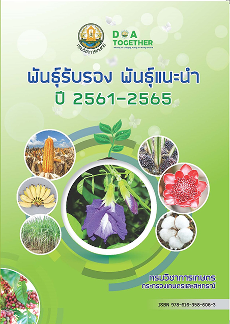 กองแผนงานและวิชาการ