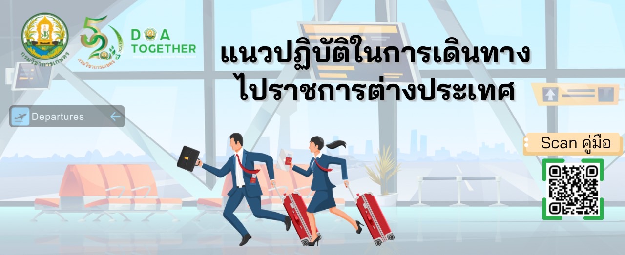 กองแผนงานและวิชาการ