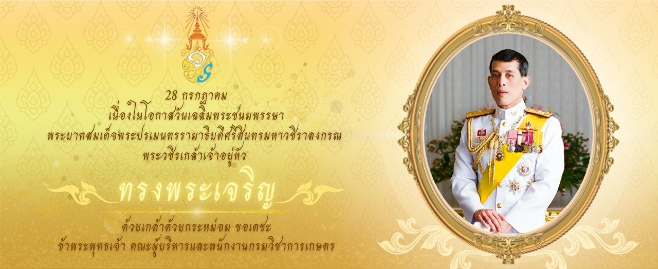 กองแผนงานและวิชาการ