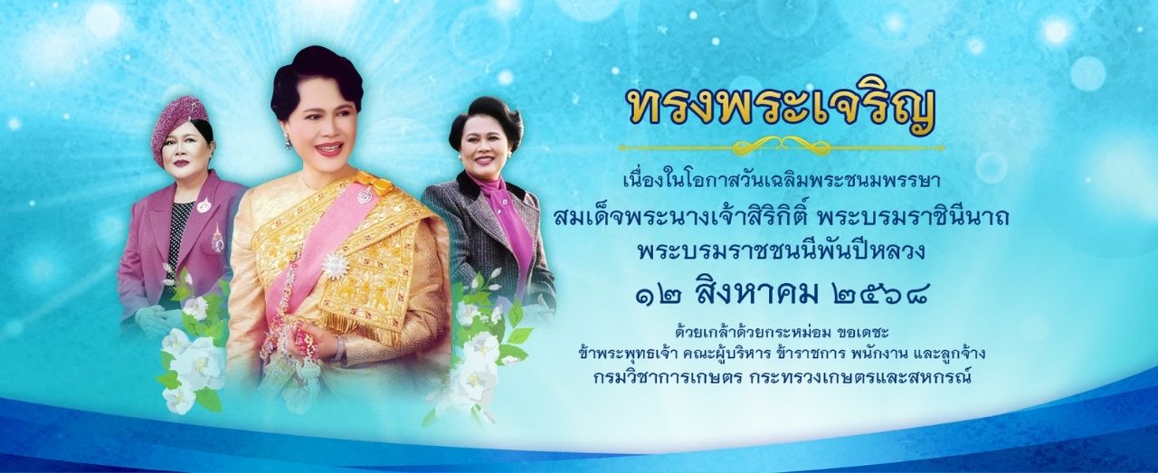 กองแผนงานและวิชาการ