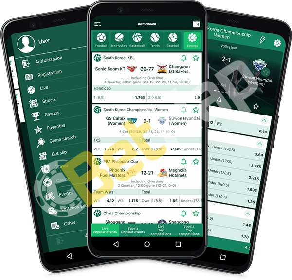 Discover the Excitement of the Crazy Time Bonus Discover the Excitement of the Crazy Time Bonus
