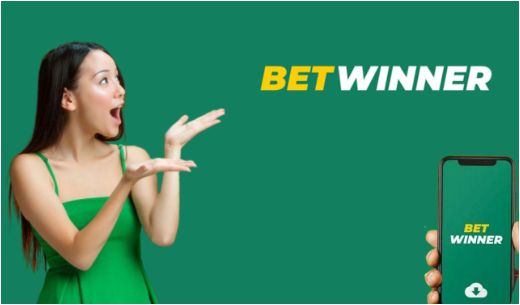 Explore the Excitement of Baji Live Cricket Explore the Excitement of Baji Live Cricket