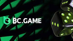 Comprehensive Guide to BC.Game KYC All You Need to Know Comprehensive Guide to BC.Game KYC All You Need to Know