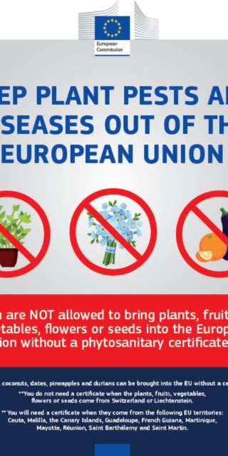 EU Regulation 2020/178