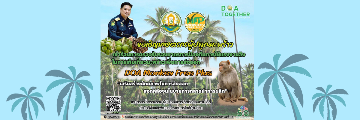 DOA Monkey Free Plus