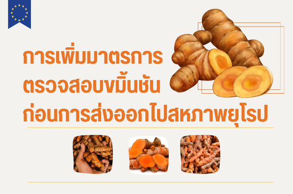 การเพิ่มมาตรการตรวจสอบขมิ้นชันก่อนการส่งออกไปสหภาพยุโรป