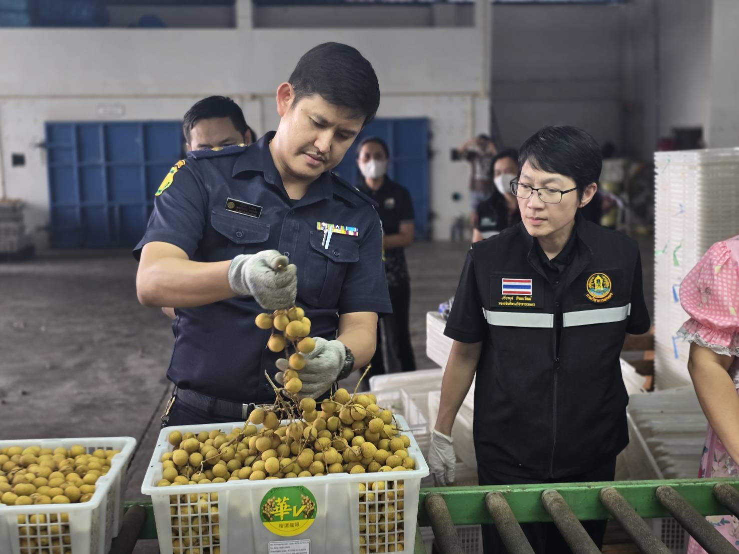 กรมวิชาการเกษตรคุมเข้มโรงรมลำไยสดด้วยก๊าซซัลเฟอร์ไดออกไซด์ เพื่อการส่งออกไปสาธารณรัฐประชาชนจีน
