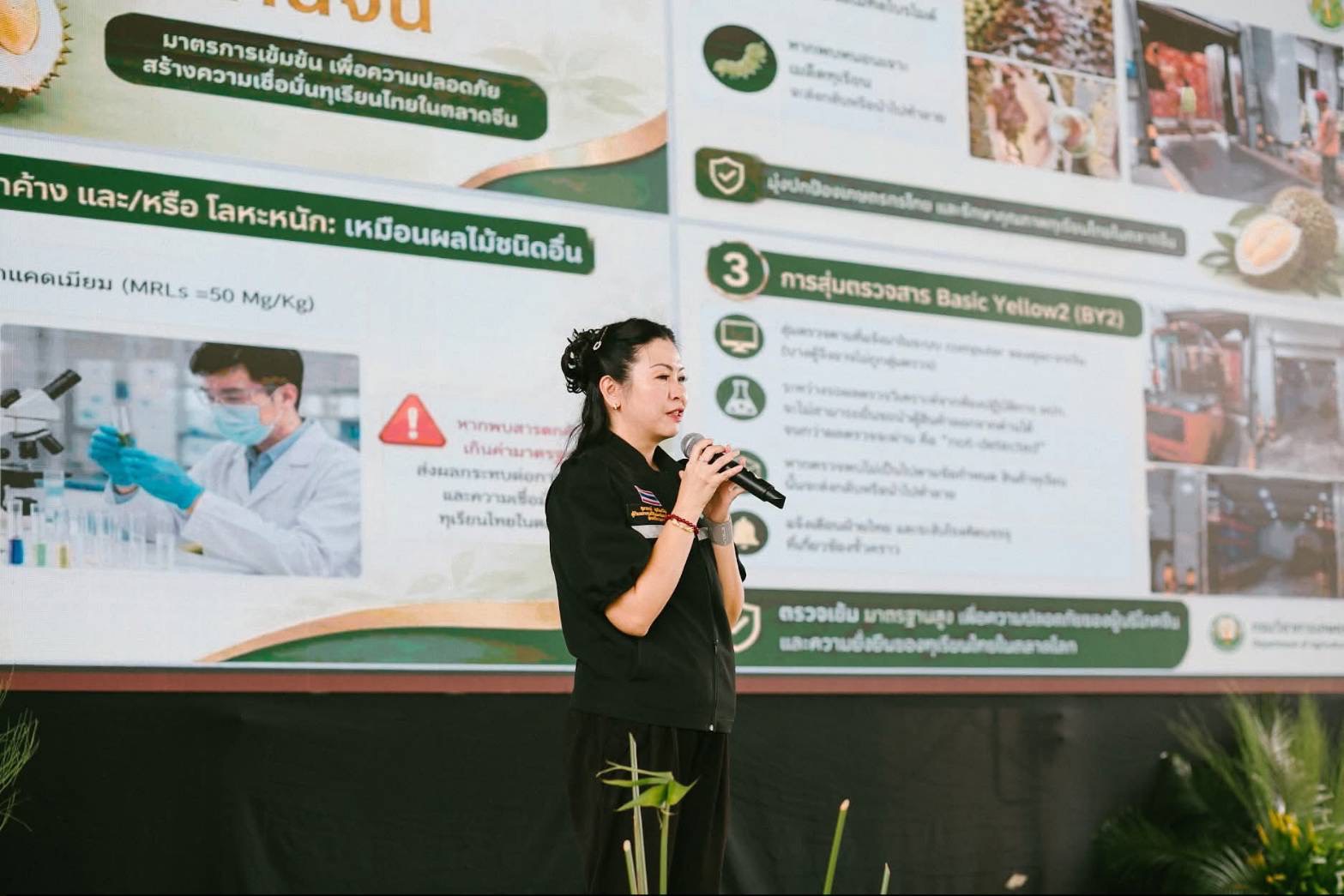 กองพัฒนาระบบและรับรองมาตรฐานสินค้าพืช ร่วมยกระดับทุเรียนไทย! ร่วมเป็นวิทยากรงานวันเก็บเกี่ยวทุเรียนคุณภาพ จ.ชุมพร มุ่งรักษามาตรฐานความปลอดภัยสู่ตลาดโลก