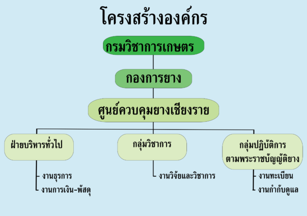 โครงสร้าง
