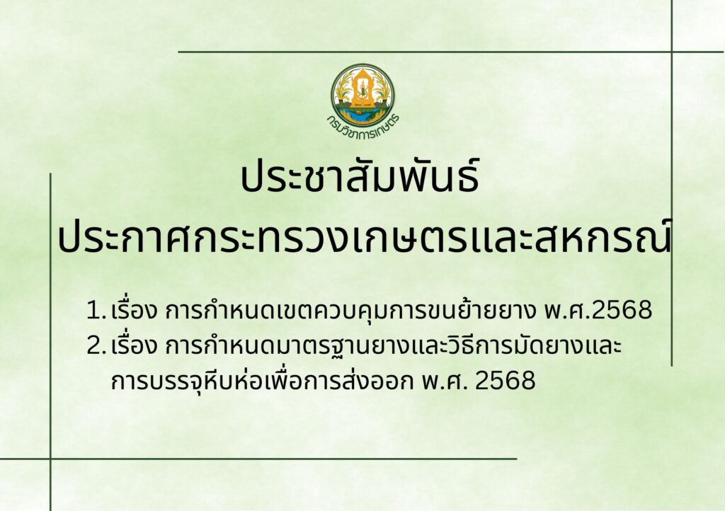 ปก