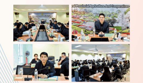 จดหมายข่าวออนไลน์ศูนย์ควบคุมยางเชียงราย ปีที่ 7 ฉบับที่ 8 วันที่ 18 พฤศจิกายน 2568