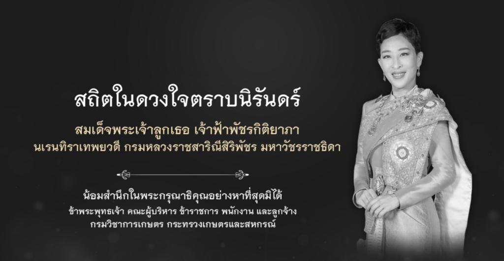 cropped-ดีไซน์ที่ยังไม่ได้ตั้งชื่อ.png