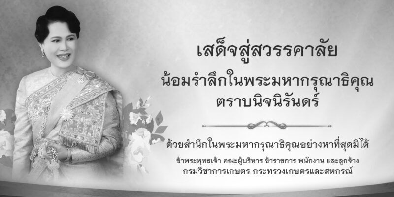 banner-web_2-800x400