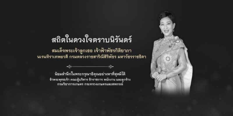 ดีไซน์ที่ยังไม่ได้ตั้งชื่อ